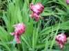 dscn0793