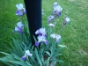 dscn0795