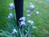 dscn0796