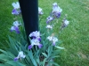 dscn0798