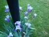 dscn0800