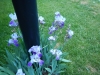 dscn0801