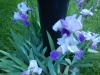 dscn0806
