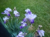 dscn0807