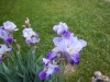 dscn0809