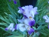 dscn0813