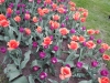 dscn0676