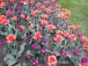 dscn0677
