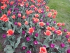dscn0678