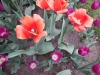 dscn0682