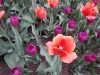 dscn0683