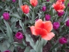 dscn0684