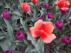 dscn0685