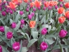 dscn0689