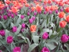 dscn0690