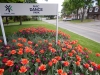dscn0691