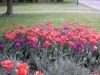dscn0693