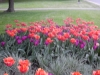 dscn0694