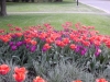 dscn0695