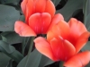 dscn0700