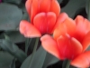 dscn0701