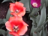dscn0705