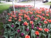 dscn0709