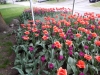 dscn0710