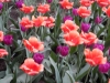 dscn0712