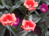 dscn0720