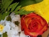 09