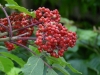 p1130040