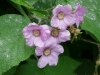 p1130208