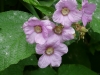 p1130209