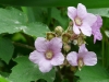 p1130210