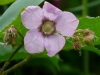 p1130211