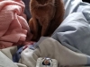 09