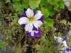 05