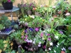 dscn0722