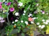 dscn0726