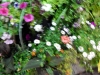 dscn0727