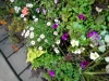 dscn0728