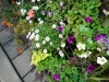 dscn0729