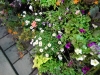 dscn0730