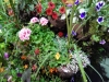 dscn0733