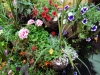 dscn0734