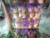 dscn0738