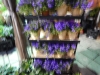 dscn0739