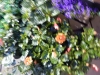 dscn0742