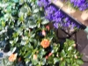 dscn0743